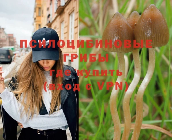 дживик Магадан